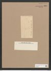 Frustulia rhomboides (Ehr.) De-Toni (de-Toni-Nr.: Genus 19, Species 1159) Zeichnungen Sammlung Grunow Nr. 2254 (NHMW-BOT-W0369357)